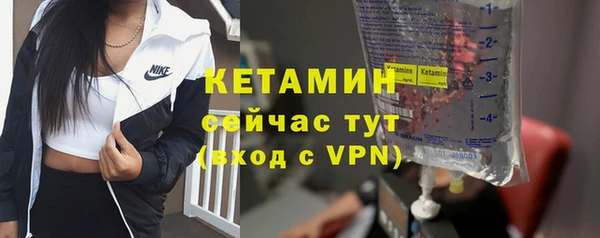 гашик Няндома