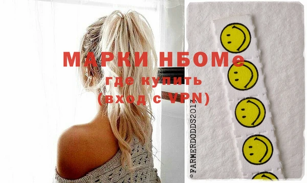 гашик Няндома