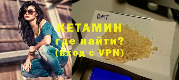 гашик Няндома