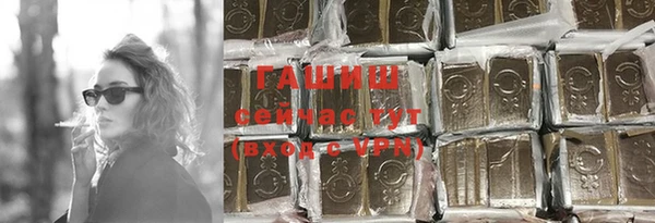 гашик Няндома