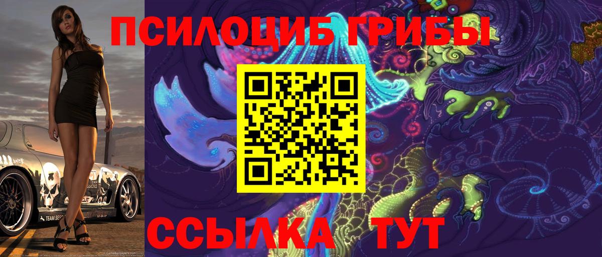 Псилоцибиновые грибы мухоморы  Псилоцибиновые грибы Cubensis  Сертолово 