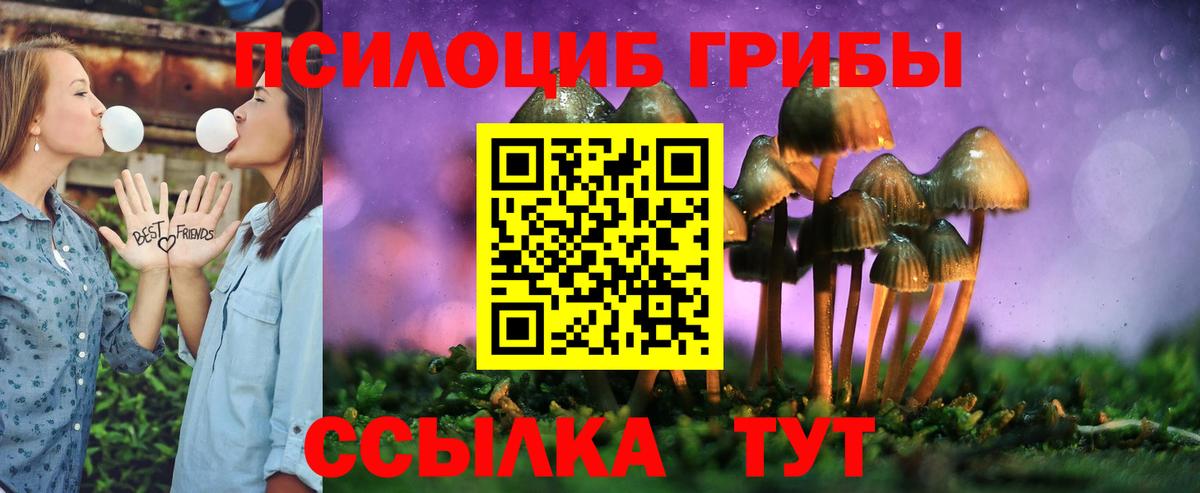 Псилоцибиновые грибы MAGIC MUSHROOMS  Вход с VPN  Сертолово 